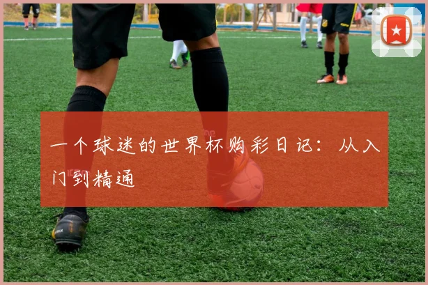 一个球迷的世界杯购彩日记:从入门到精通