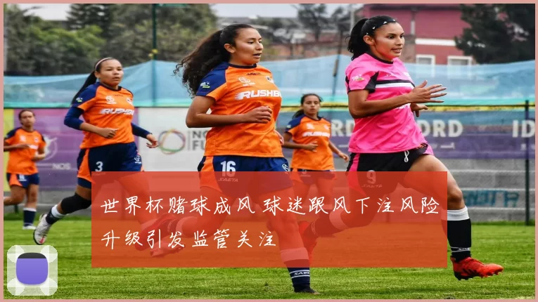 世界杯赌球成风 球迷跟风下注风险升级引发监管关注