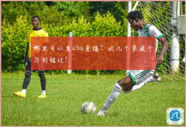 哪里可以看cba重播？这几个渠道千万别错过！